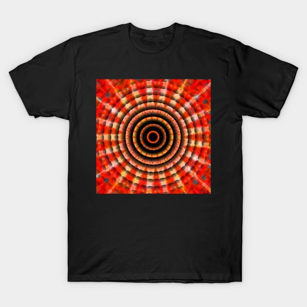 Mandala Freestyle 1 T-Shirt by spacedivers